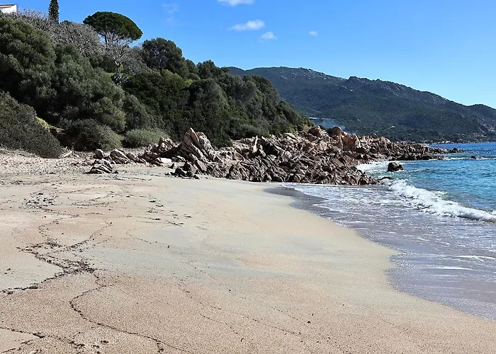 Les Sanguinaires N31 - T2 Vue Mer, Piscine, 公寓 *