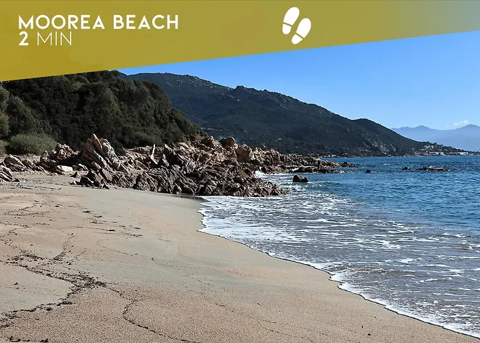 Les Sanguinaires N31 - T2 Vue Mer, Piscine, 公寓